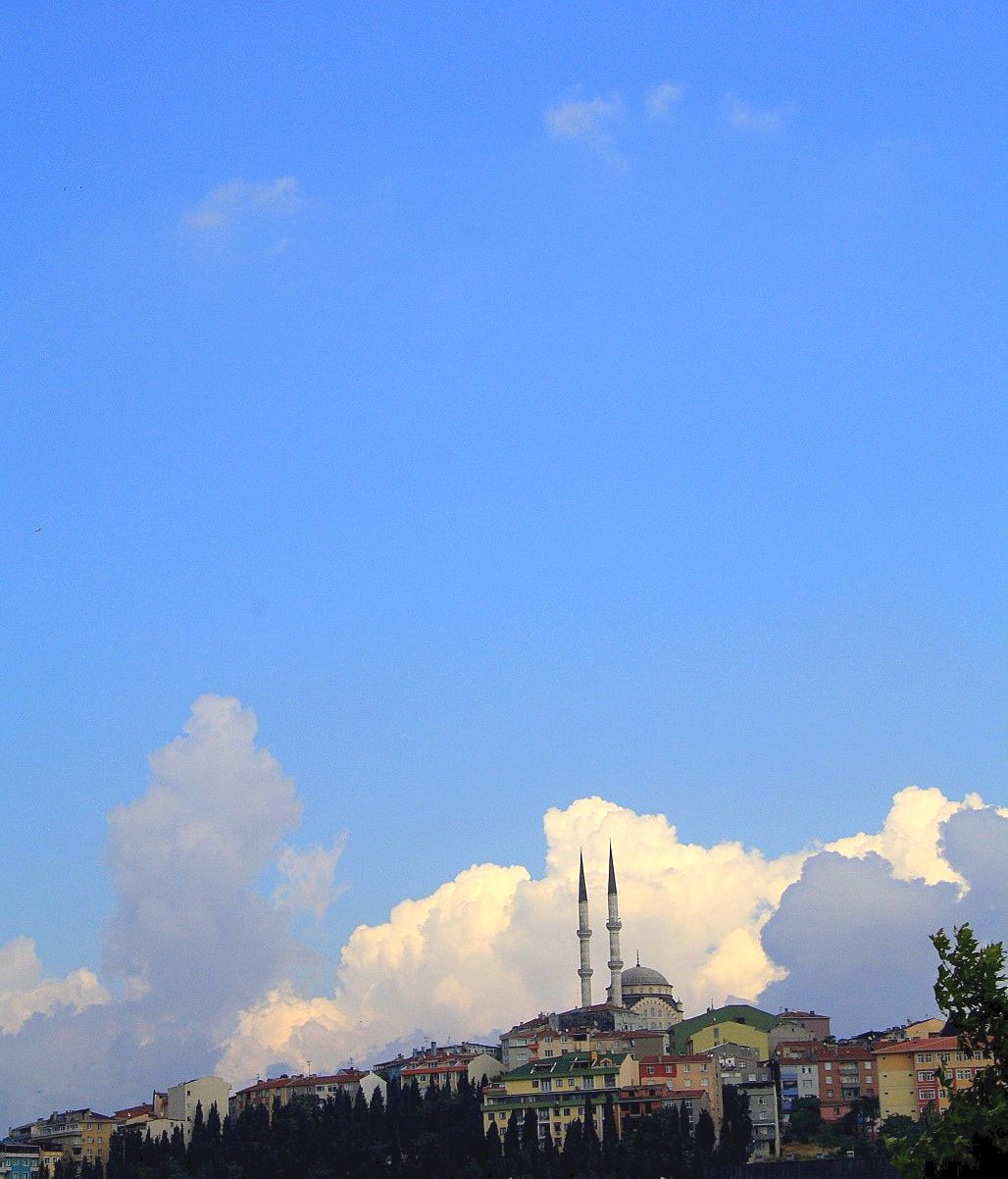 Picture